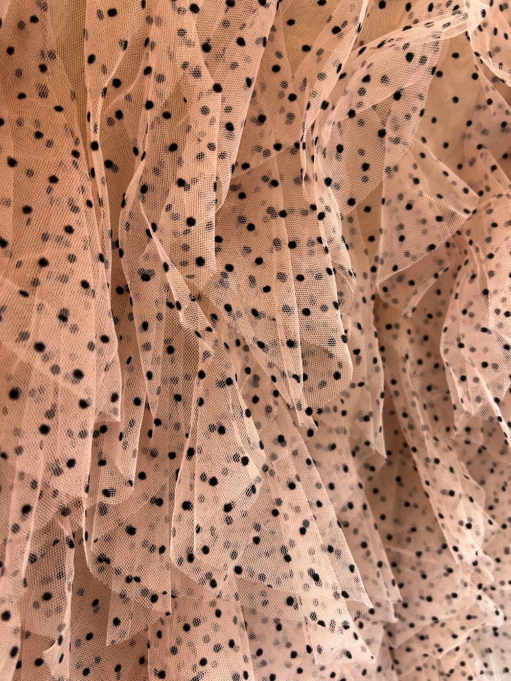 dolan Blush Tan Polka Dot Ruffle Mesh Blouse - Picture 4 of 5